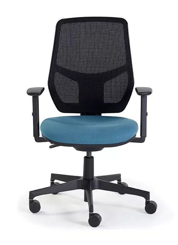 rep-mshblk-apa-b-01-1