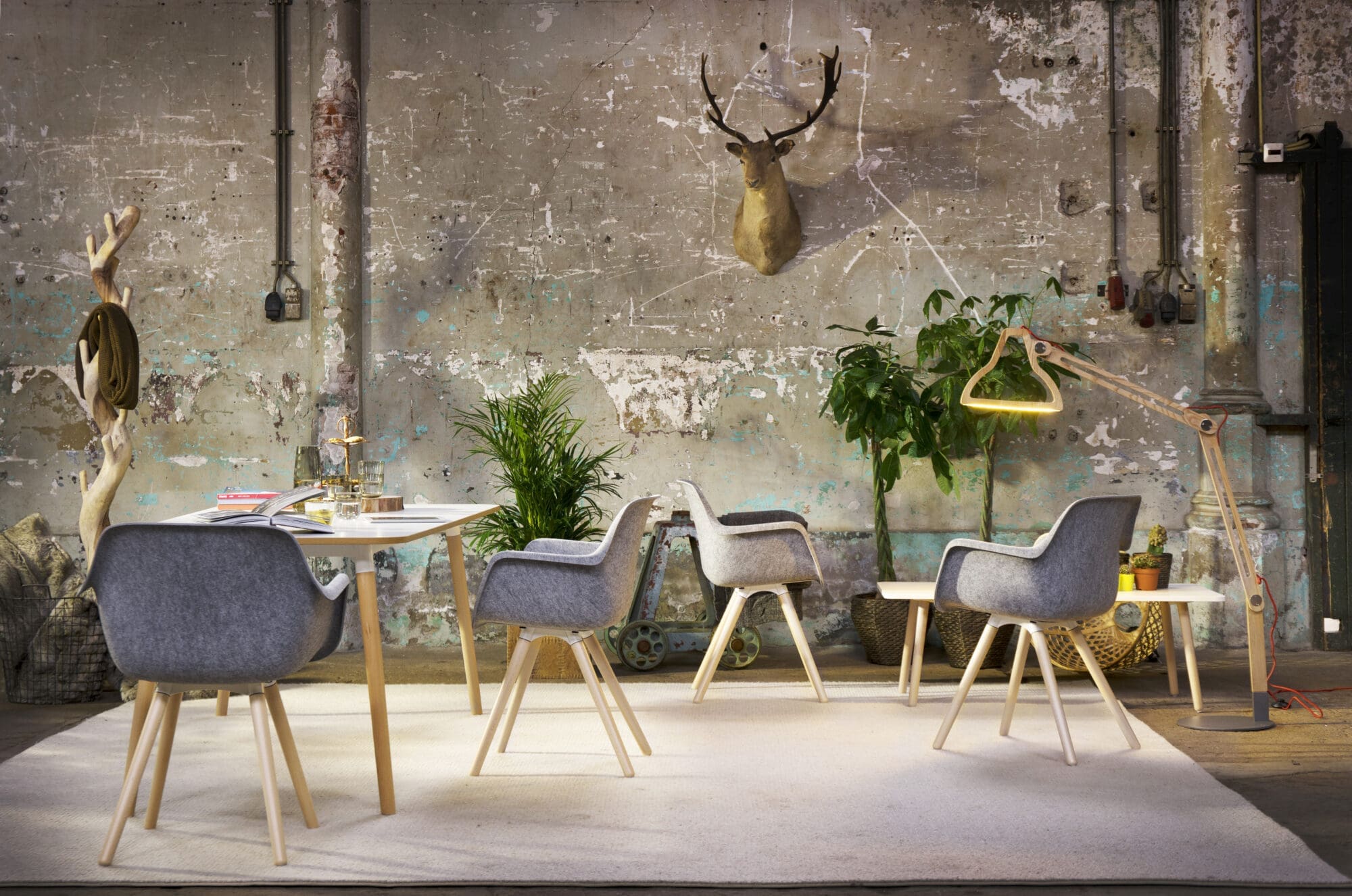 vepa_skeef-hoog-en-laag-felt-hf-sfeer-huiselijk-_sam1690-2000x1326