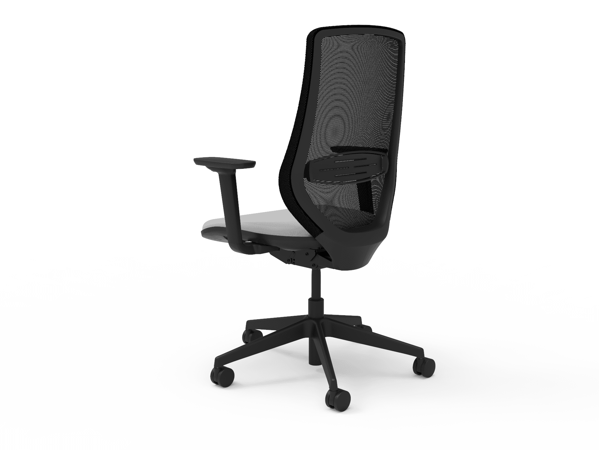 scucdo-self-3-3d-2-1