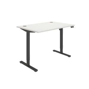 Rectangular Single Motor Sit Stand Desk