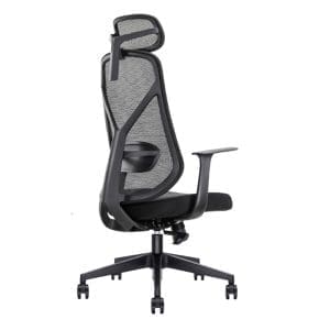 Ergo Mesh With Headrest